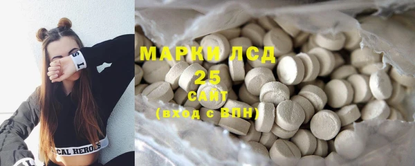 стафф Корсаков
