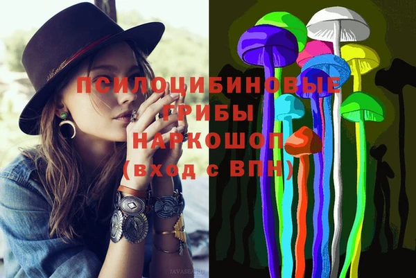 стафф Корсаков