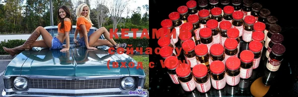 стафф Корсаков