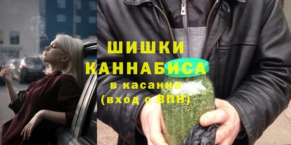 стафф Корсаков