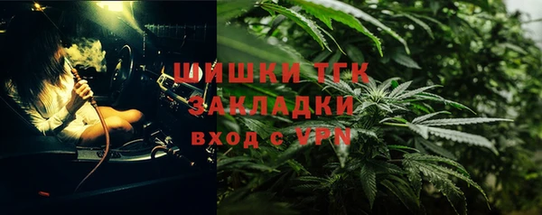 стафф Корсаков