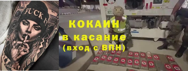стафф Корсаков